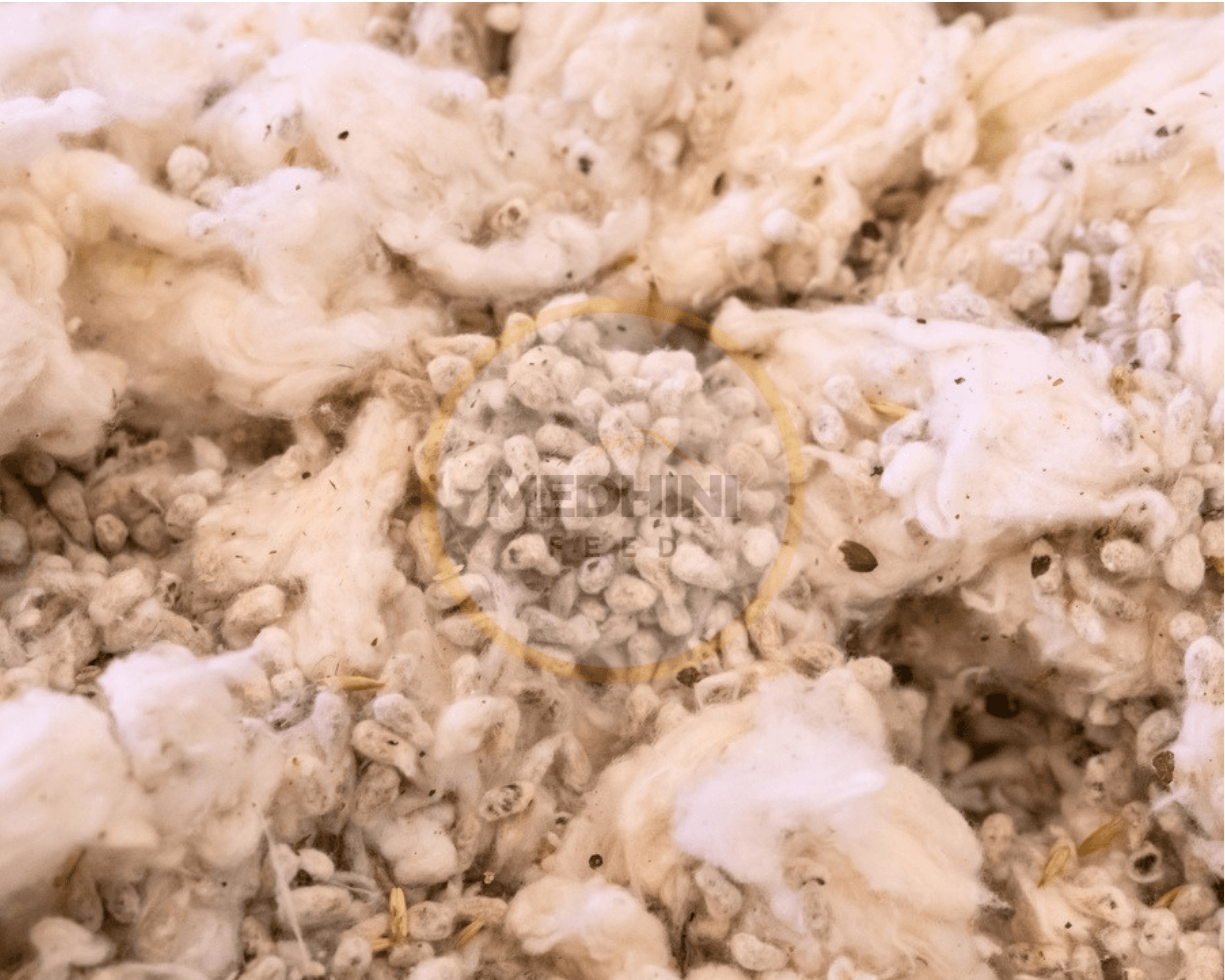 Cottonseed Meal / Cake