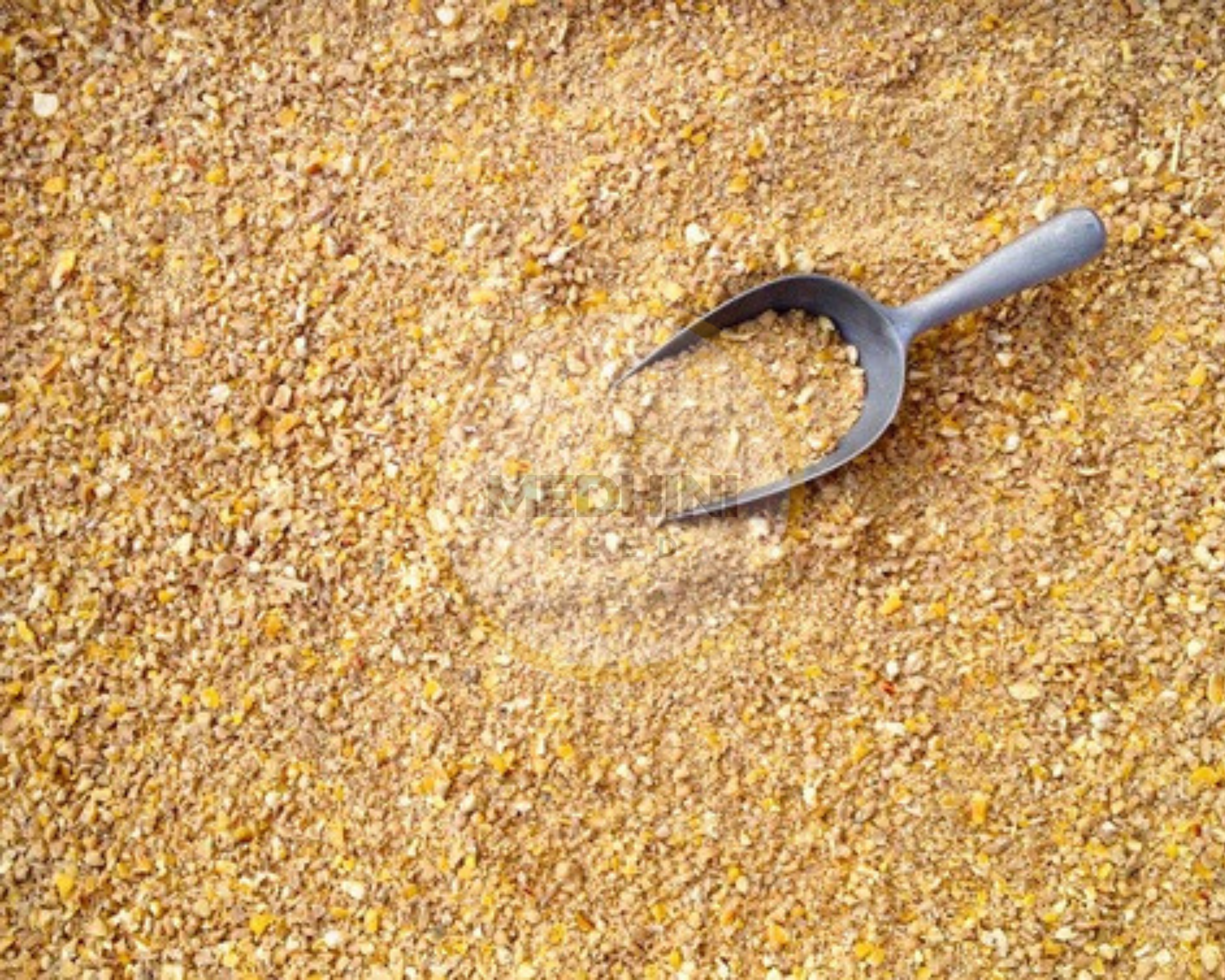 Soybean Meal